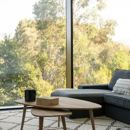 Casa Moderna Con Piscina Y Vistas Al Bosque. * Mungia